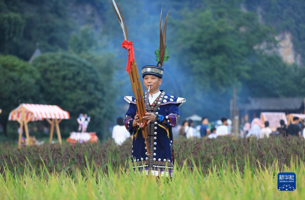 百家龙宝